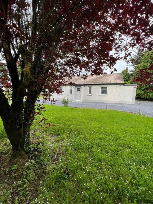 Ballybur Cottage Kilkenny Exterior photo